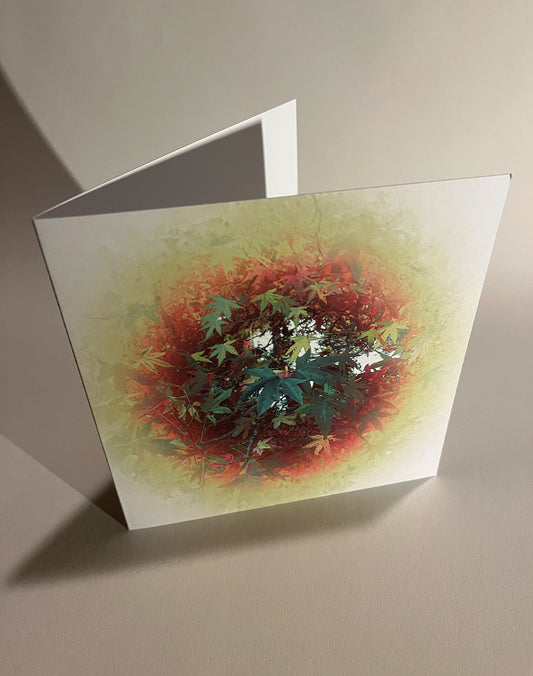 Through the nature hole 3 Greeting Card