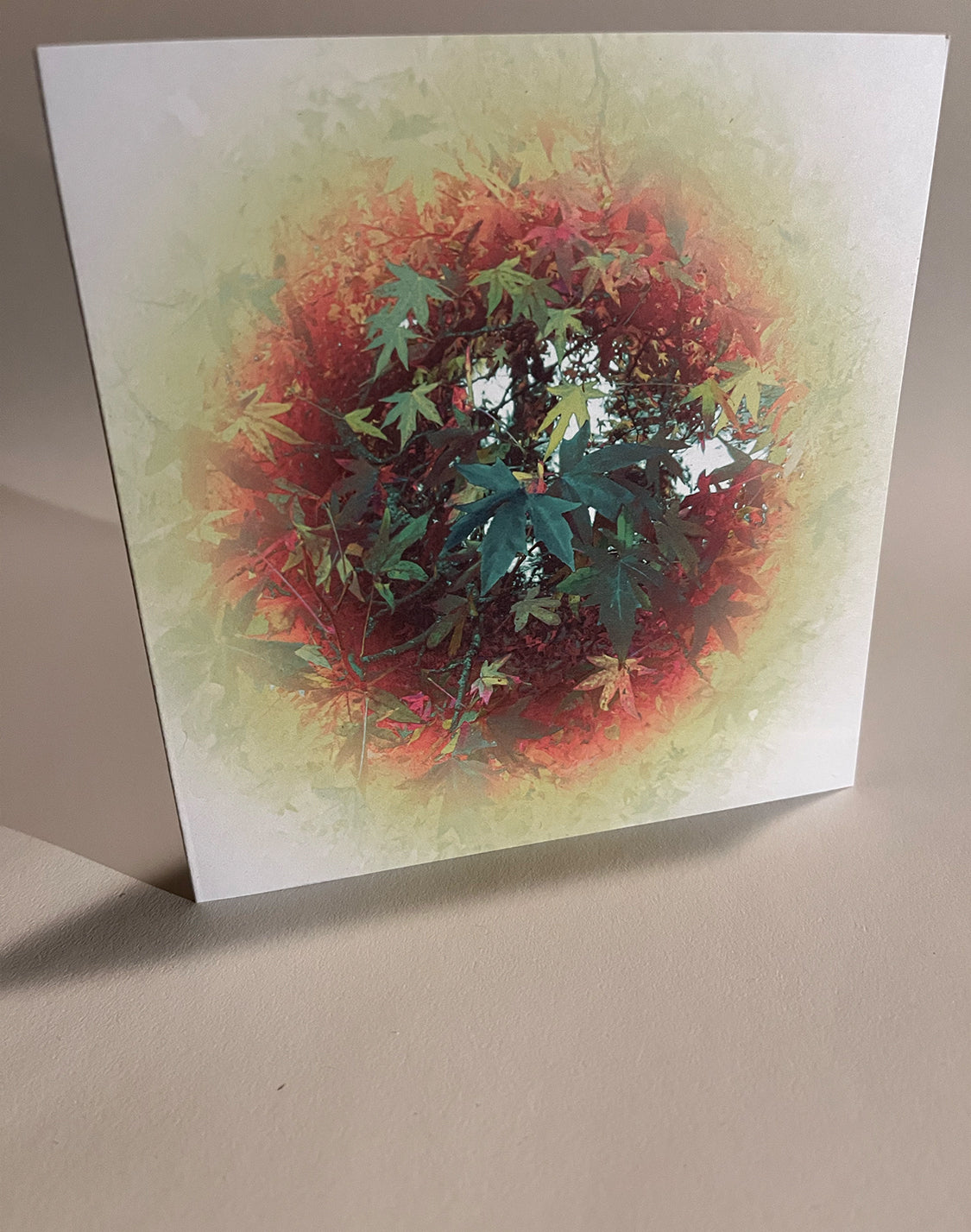 Through the nature hole 3 Greeting Card