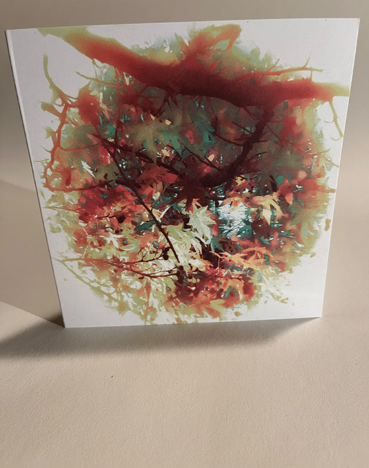 Through the nature hole 1  Greeting Card