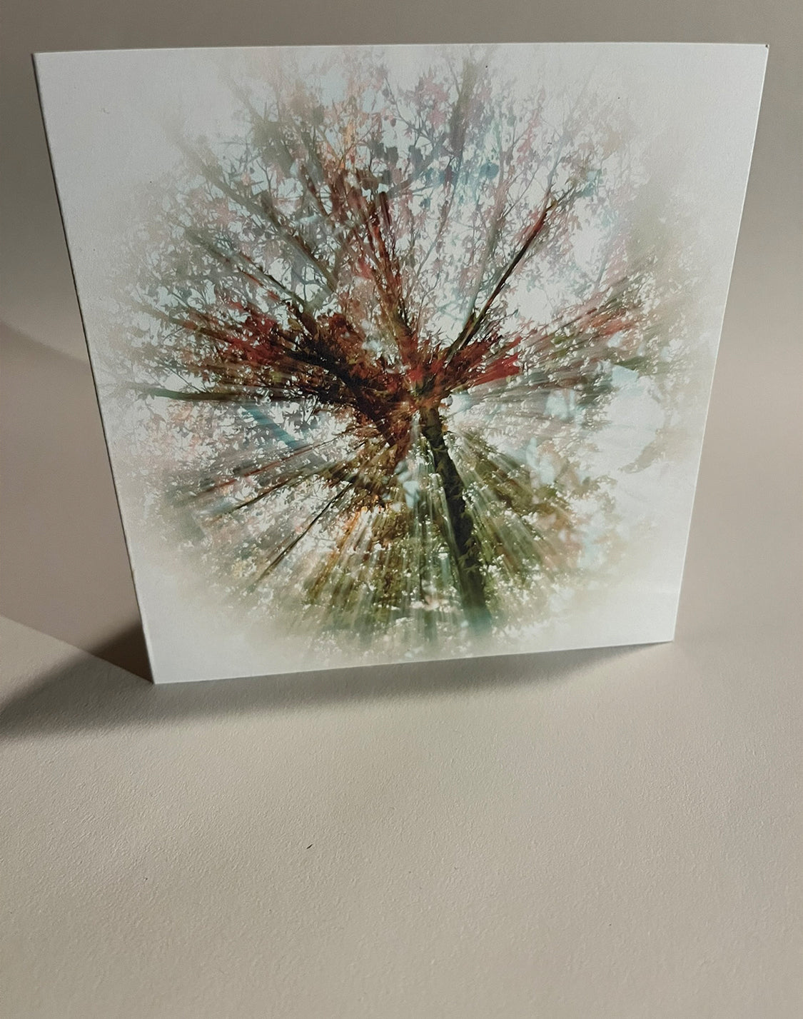 Through the nature hole 2 Greeting Card